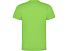 Футболка Dogo Premium мужская, зеленое яблоко