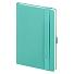 Ежедневник Alpha недатированный, бирюзовый/серый