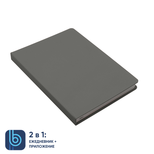 Ежедневник Bplanner.02 (серый)
