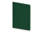 Бизнес-тетрадь А5 Pragmatic Contrast, 40 листов в клетку, темно-зеленый с салатовым срезом