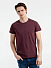 Футболка мужская Regent Fit 150, бордовый меланж