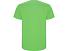 Футболка Stafford мужская, зеленое яблоко