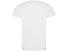 Футболка Camimera мужская, белый