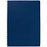 Ежедневник Spring Shall, недатированный, синий