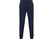 Брюки спортивные Rodas мужские, синий нэйви