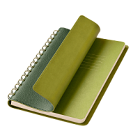 Ежедневник Vista недатированный, зеленый/салатовый