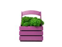 Композиция «Корзинка со мхом», цвет: зеленый, фиолетовый