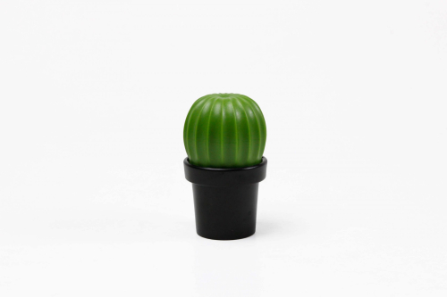 МЕЛЬНИЦА ДЛЯ СПЕЦИЙ Tasty Cactus, Зеленый/Черный