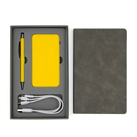 Набор Bplanner Business Power (желтый с серым) Набор Bplanner Business Power (желтый с серым)