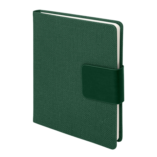 Ежедневник недатированный Mod, формат А5, в линейку, зеленый