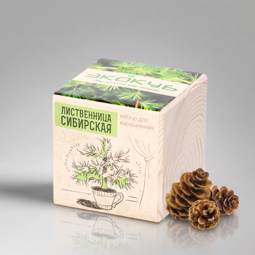 Набор для выращивания Экокуб Classic Лиственница Сибирская
