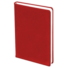 Ежедневник City Buffalo А5, Красный