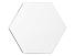 Награда Hexagon, прозрачный