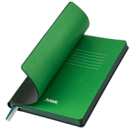 Ежедневник Voyage недатированный, темно-зеленый