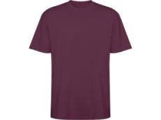 Футболка оверсайз Bull унисекс, сливовый