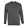 Футболка мужская с длинным рукавом MONARCH 150, темно-серый