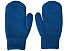 Варежки Dunant, классический синий