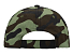 Бейсболка Camo 6-ти панельная