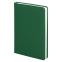Ежедневник City Soft Touch Latte А5, Зелёный