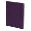 Бизнес-блокнот BIGGY, формат B5,  в клетку, фиолетовый