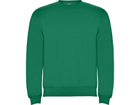 Свитшот с начесом Clasica унисекс, зеленый