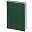 Ежедневник Sagrin, недатированный, зеленый