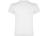 Футболка Teckel мужская, белый