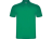 Рубашка поло Austral мужская, зеленый