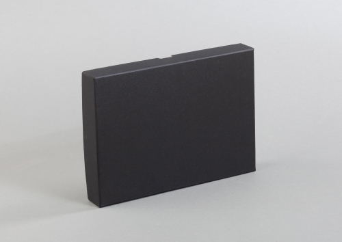 Подарочная коробка без ложемента (крышка-дно, 22 х 3 х 15,5 см)