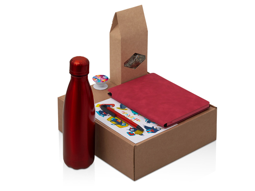 Подарочный набор с термобутылкой, блокнотом, ручкой и чаем, красный