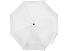 Зонт Alex трехсекционный автоматический 21,5, белый