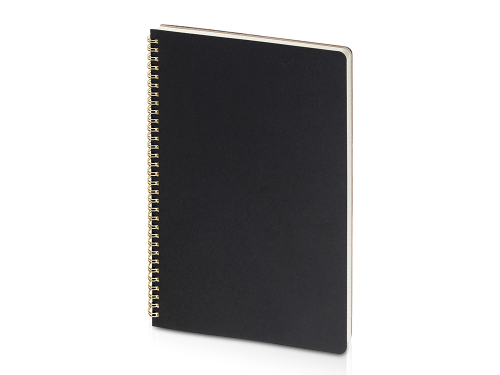 Бизнес тетрадь на гребне А4 Pragmatic, 100 листов в клетку, черный