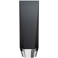 Награда Statum, малая Награда Statum, малая