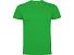 Футболка Dogo Premium мужская, светло-зеленый