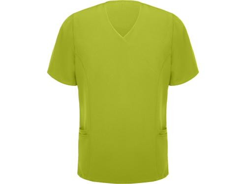 Рубашка мужская Ferox, фисташковый