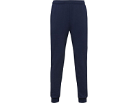 Брюки спортивные Rodas мужские, синий нэйви